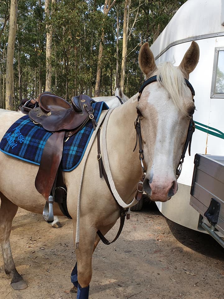 Saddle Blankets Kersey Wool