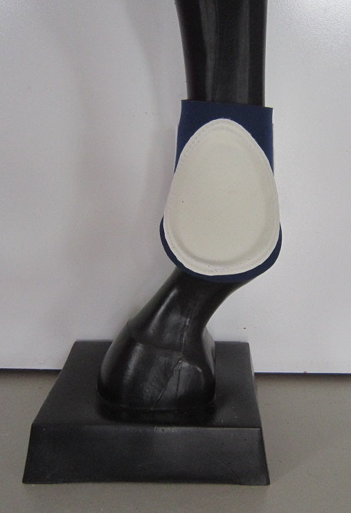 Fetlock/Back Boots (Pair)